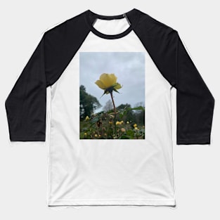 Winter rose Baseball T-Shirt